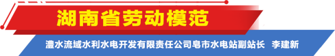 栏目标题