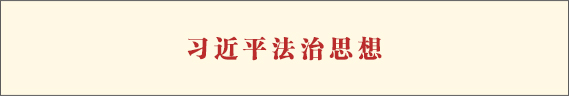 习近平法治思想