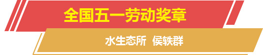 栏目标题