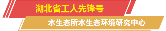 栏目标题