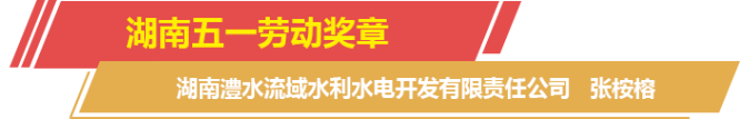 栏目标题